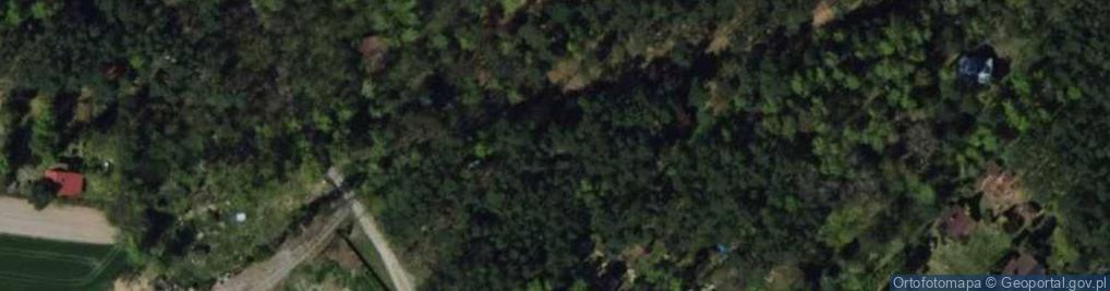 Zdjęcie satelitarne Urwisów ul.
