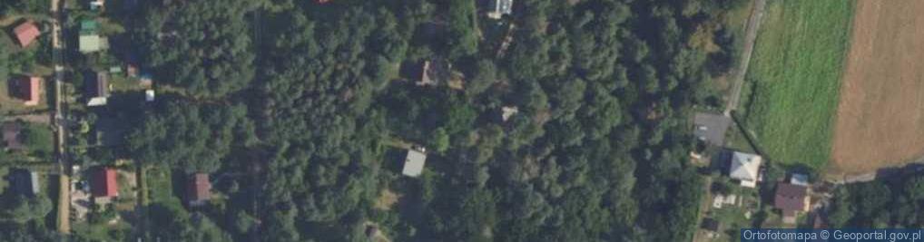 Zdjęcie satelitarne Uroczysko ul.