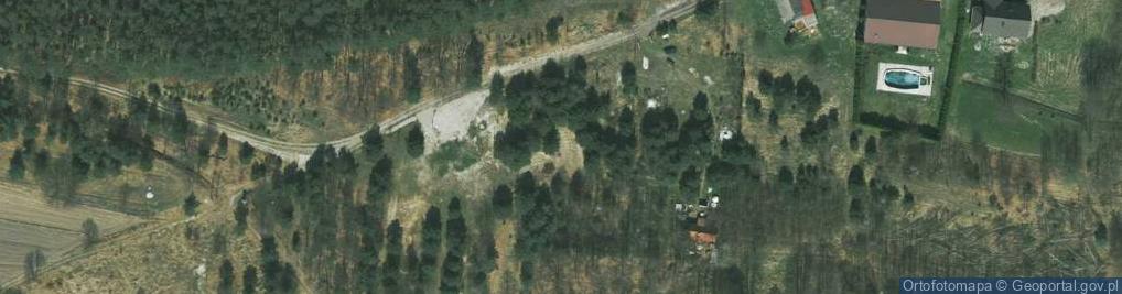 Zdjęcie satelitarne W Lesie ul.