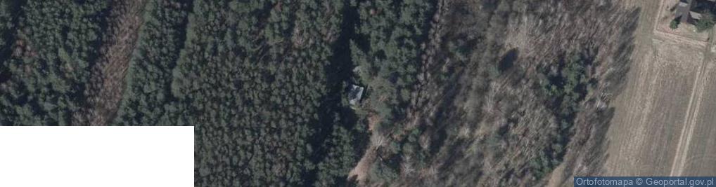 Zdjęcie satelitarne Warszawska ul.