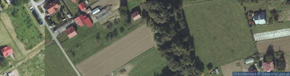 Zdjęcie satelitarne Warzywna ul.