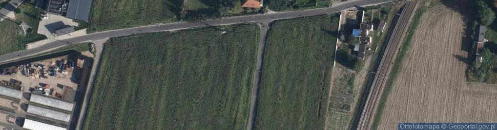 Zdjęcie satelitarne Wąska ul.