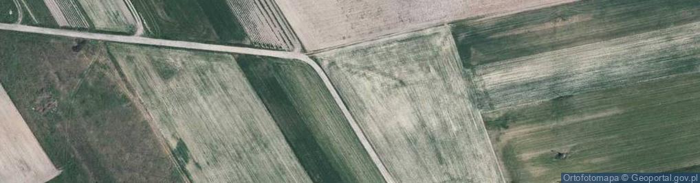 Zdjęcie satelitarne Wąska ul.