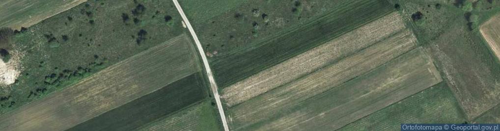 Zdjęcie satelitarne Wąwozowa ul.