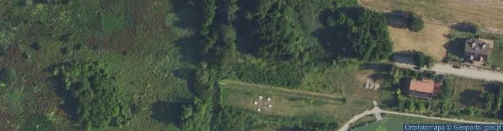 Zdjęcie satelitarne Wandy ul.