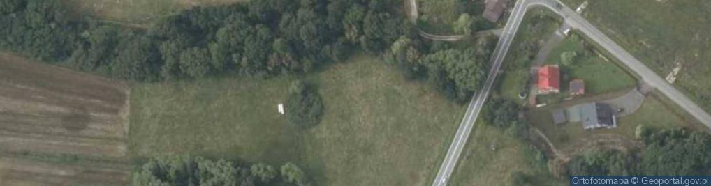 Zdjęcie satelitarne Wadowicka ul.