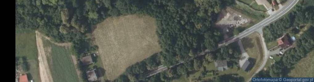 Zdjęcie satelitarne Wadowicka ul.