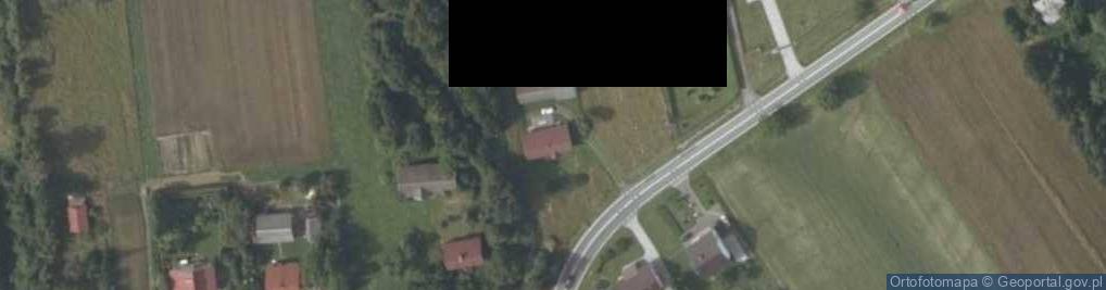 Zdjęcie satelitarne Wadowicka ul.