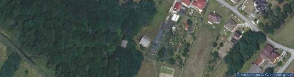 Zdjęcie satelitarne Wapienna ul.