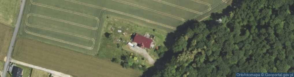 Zdjęcie satelitarne Wadowicka ul.