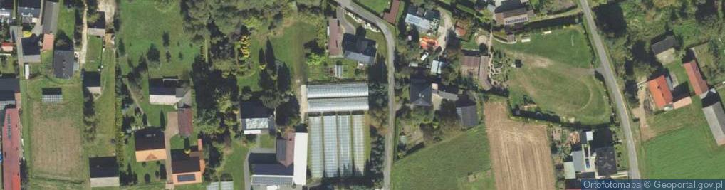 Zdjęcie satelitarne Wąska ul.
