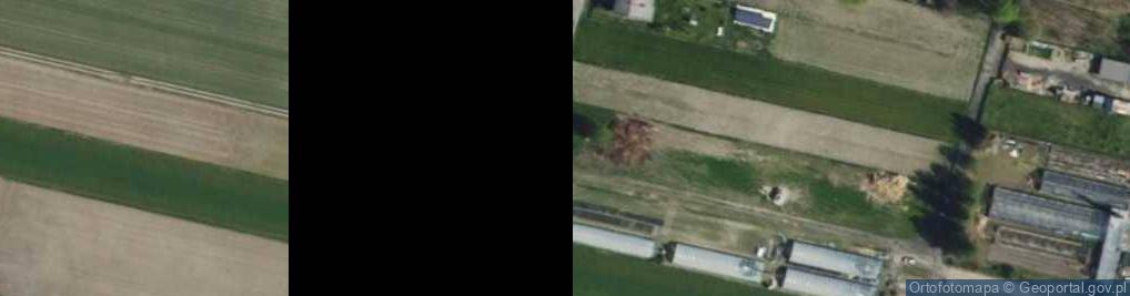 Zdjęcie satelitarne Wąska ul.