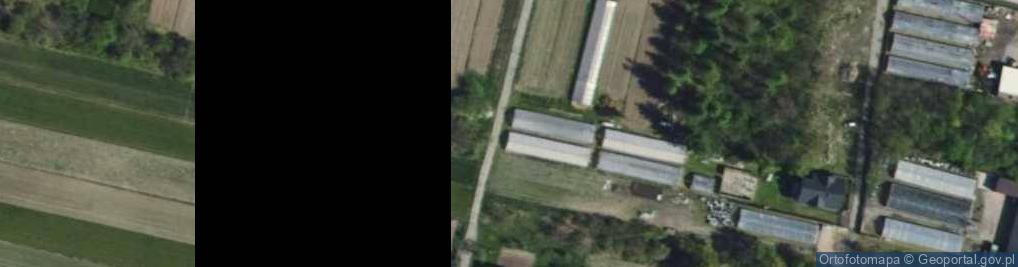 Zdjęcie satelitarne Wąska ul.