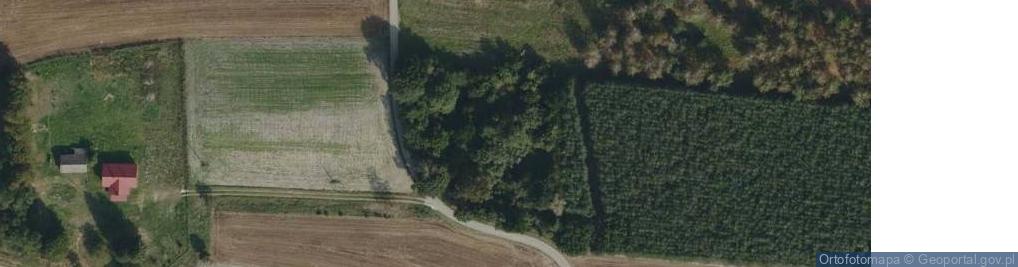 Zdjęcie satelitarne Wadowice Dolne ul.
