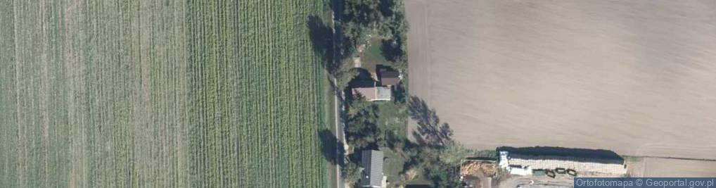Zdjęcie satelitarne Waliszewo ul.