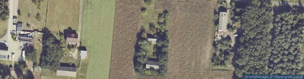 Zdjęcie satelitarne Wandynów ul.