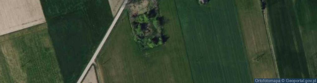 Zdjęcie satelitarne Wargawa ul.