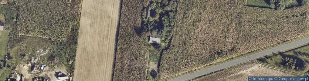 Zdjęcie satelitarne Warszew ul.