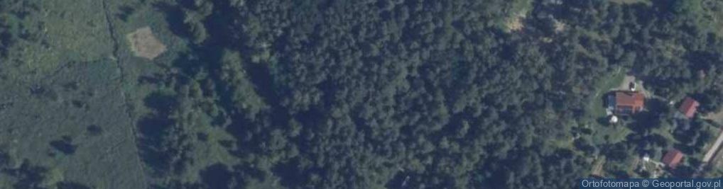 Zdjęcie satelitarne Warszewice ul.