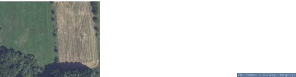 Zdjęcie satelitarne Waśniewo-Grabowo ul.