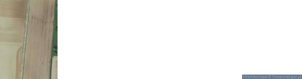 Zdjęcie satelitarne Wąsów ul.