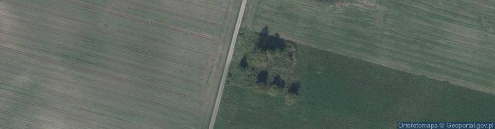 Zdjęcie satelitarne Wasylów ul.