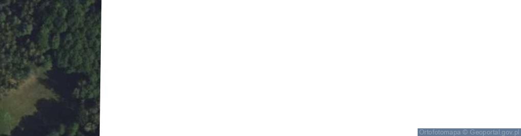 Zdjęcie satelitarne Warszawska ul.