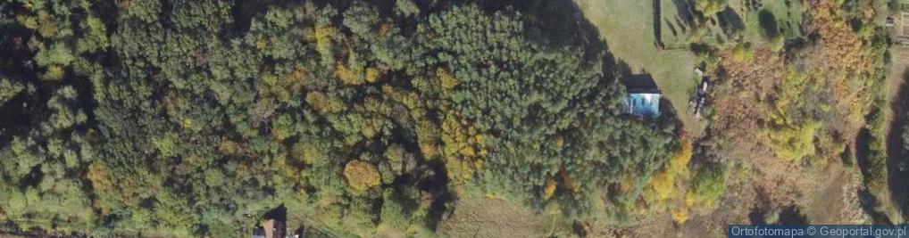 Zdjęcie satelitarne Wąska ul.