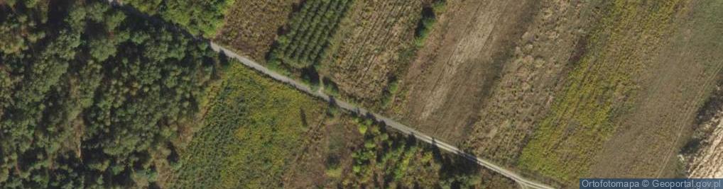 Zdjęcie satelitarne Wereszki Aleksandra ul.