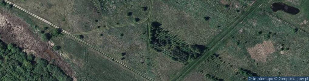 Zdjęcie satelitarne Wesoła ul.