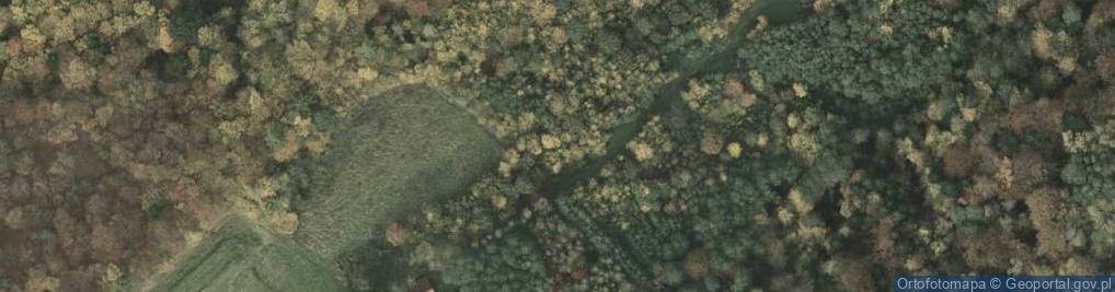 Zdjęcie satelitarne Węgierska ul.