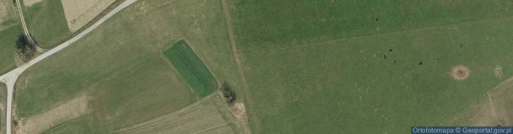 Zdjęcie satelitarne Wesołów ul.