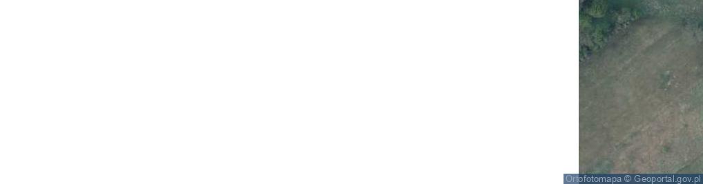 Zdjęcie satelitarne Wesołowo ul.