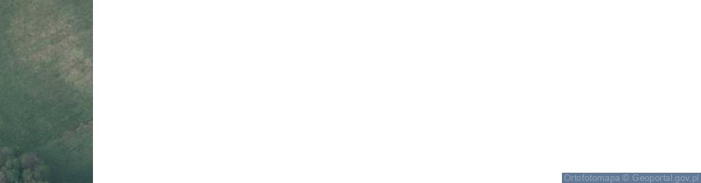 Zdjęcie satelitarne Wesołowo ul.