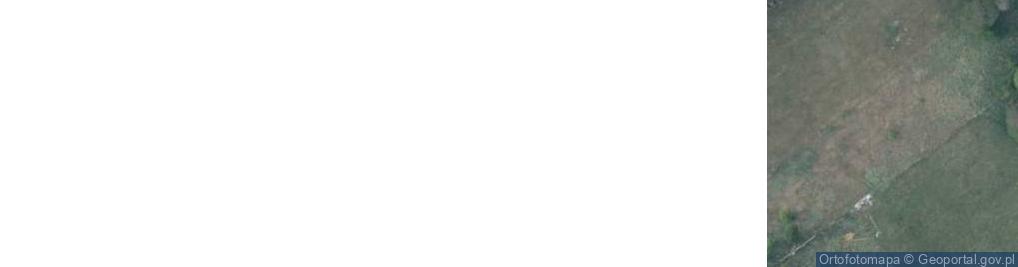 Zdjęcie satelitarne Wesołowo ul.