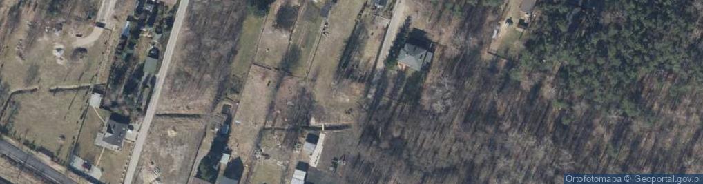 Zdjęcie satelitarne Wierzbowa ul.