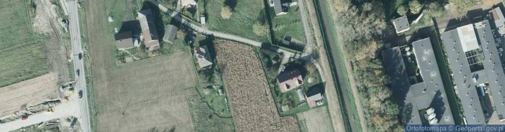 Zdjęcie satelitarne Wierzbowa ul.