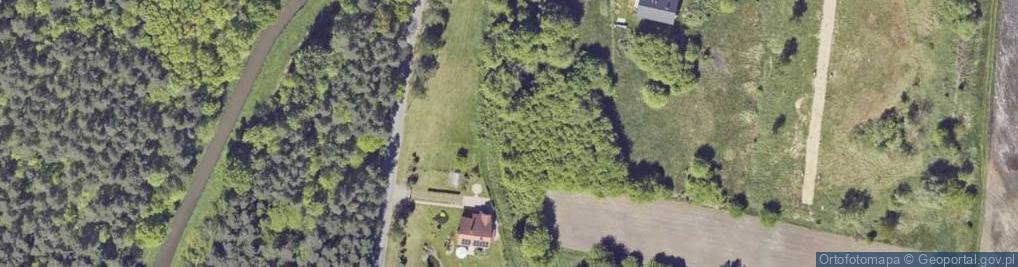 Zdjęcie satelitarne Wita ul.