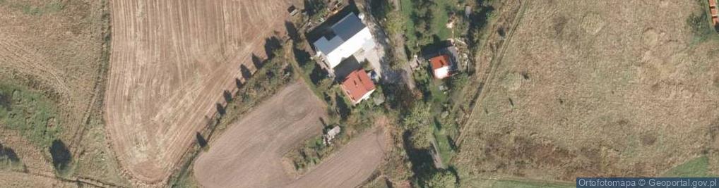 Zdjęcie satelitarne Witosa Wincentego ul.