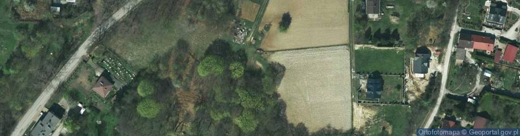 Zdjęcie satelitarne Winnica ul.