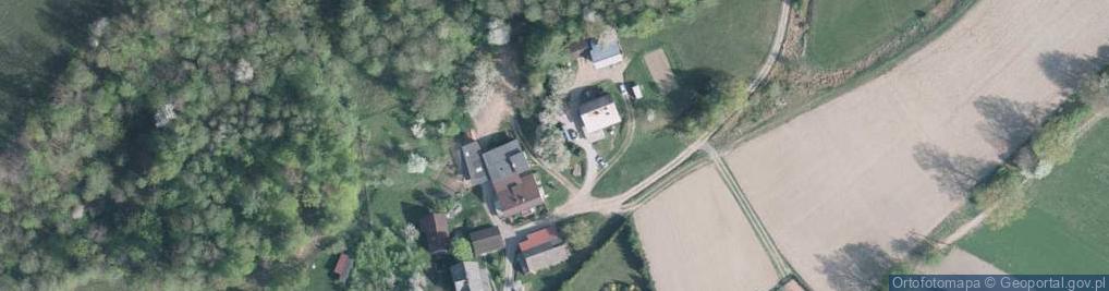 Zdjęcie satelitarne Wierzbowa ul.