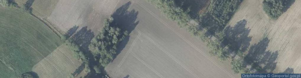 Zdjęcie satelitarne Wiejska ul.