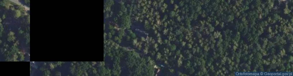 Zdjęcie satelitarne Wiewiórek ul.