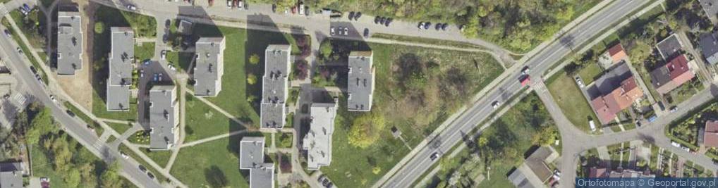 Zdjęcie satelitarne Wierzbowa ul.
