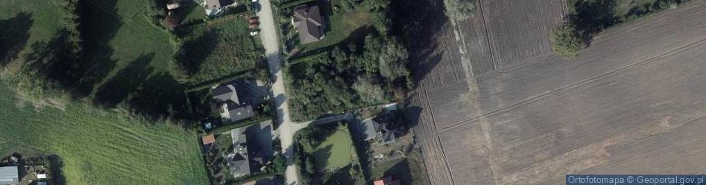 Zdjęcie satelitarne Wierzbowa ul.