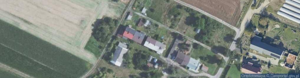 Zdjęcie satelitarne Wierzbowa ul.