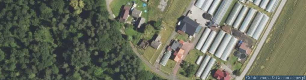 Zdjęcie satelitarne Witkowska ul.