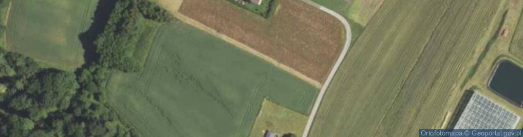 Zdjęcie satelitarne Witkowska ul.