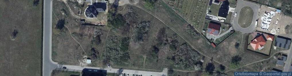 Zdjęcie satelitarne Witosa Wincentego ul.