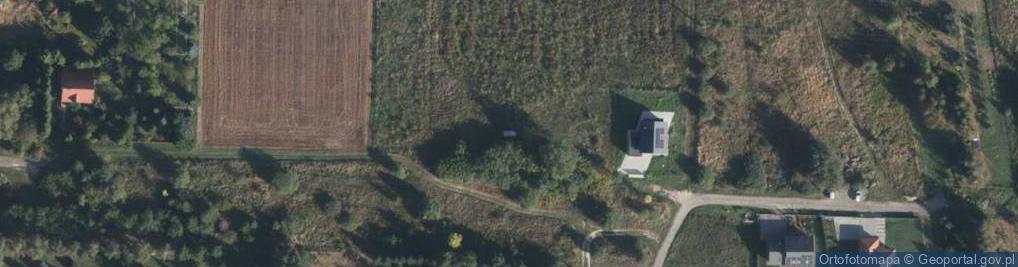 Zdjęcie satelitarne Wielkopolska ul.